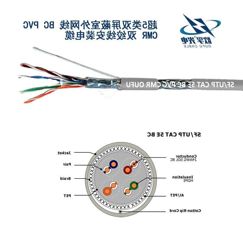 淄博市SF/UTP超五类4对双屏蔽电缆(24AWG)